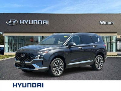 2023 Hyundai SANTA FE Calligraphy