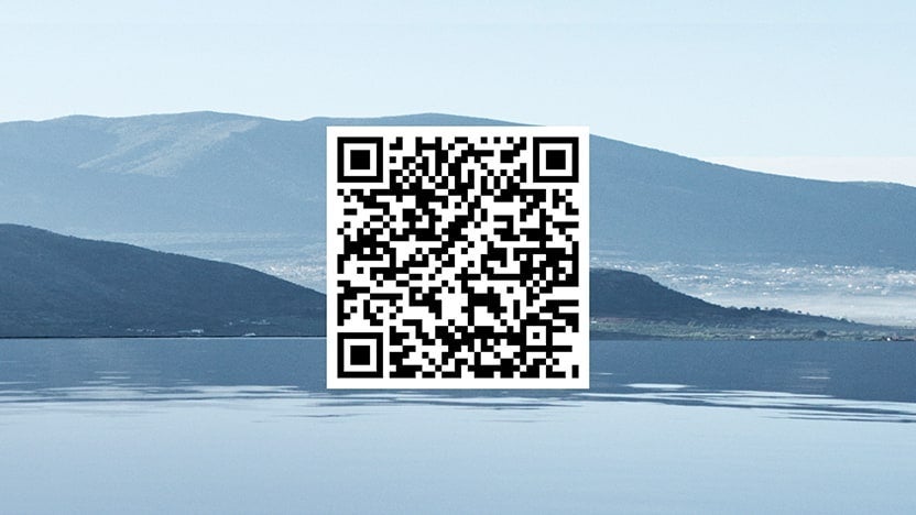 Hyundai Evolve+ iPhone QR code | Winner Hyundai in Dover DE